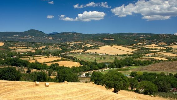 CivitavecchiaTours