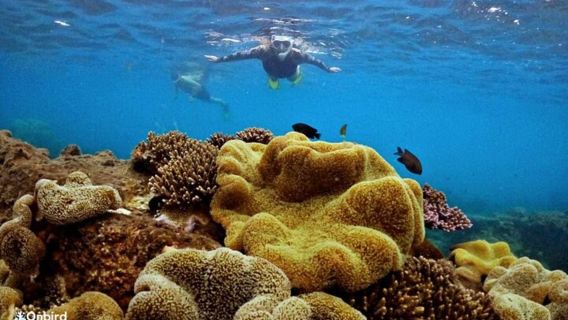 Phu Quoc IslandTours