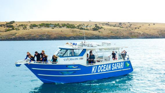 Морское сафари на Острове Кенгуру в Южной Австралии: круиз / прогулочное судно / круизный катер для наблюдения за дикой природой