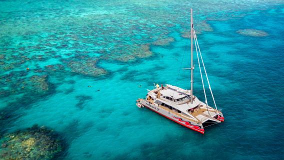 Cairns Great Barrier Reef Passions of Paradise 1-day tour