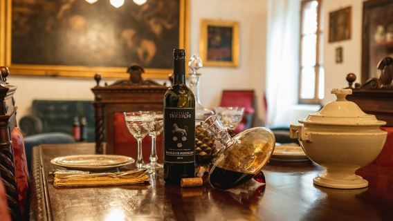 Montalcino: Vineyard Guided Tour + Wine Tasting in the Castle