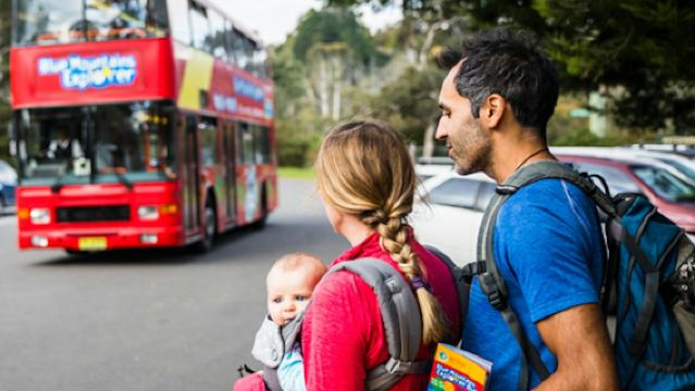Blue Mountains Sydney: Hop-on Hop-off Bus + Scenic World Unlimited Rides Pass