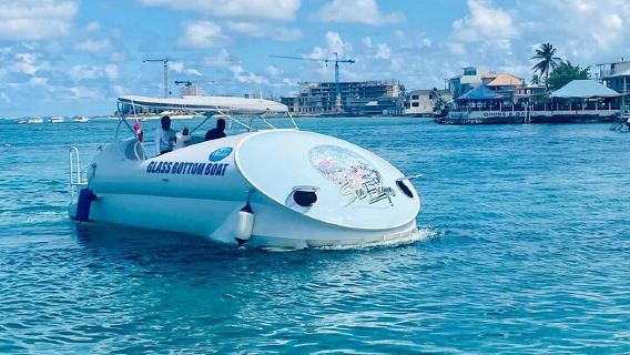 Grand CaymanTours