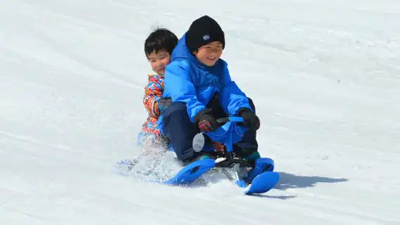 일본 홋카이도 오타루 + 비바이 스노우랜드 + 시로이코이비토 파크 당일 치기 여행: 눈놀이 체험