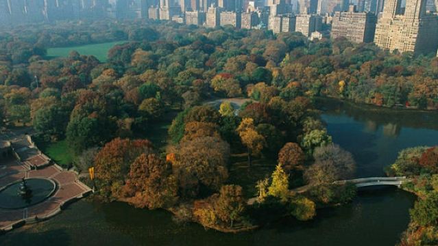 Nueva York: Visita guiada por el Alto y Bajo Manhattan en español