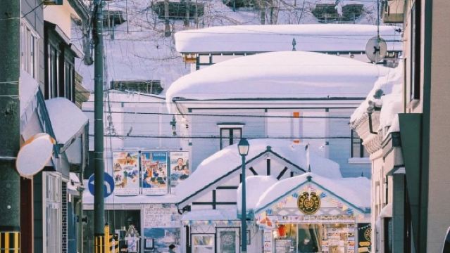 日本小樽出發打卡網紅景點/可札幌登別富良野北海道多日包車精選