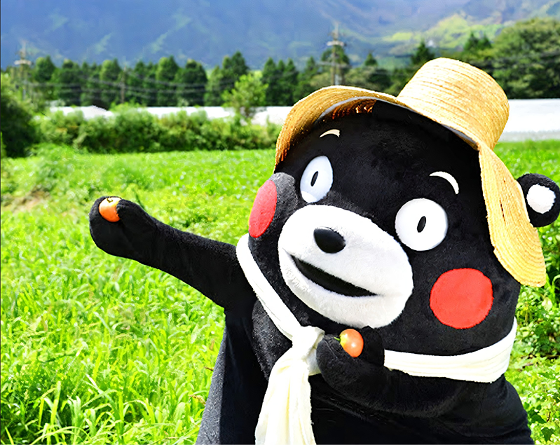 Departing from Fukuoka: Kumamoto Castle + Aso Volcano Crater Exploration + Kusasenri Horseback Riding Experience Transportation Special Line