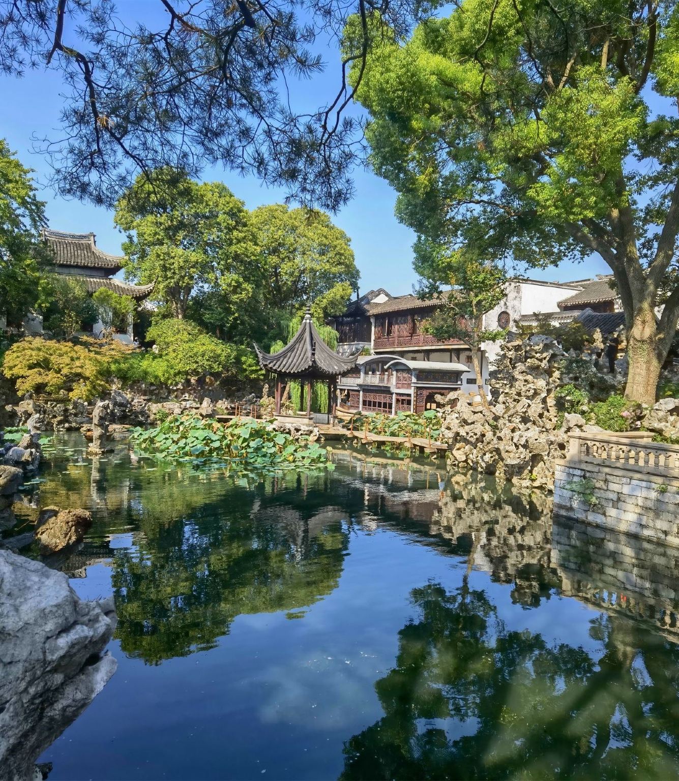 Suzhou + Giardino dell'Amministratore Umile + Lion Forest Garden/guida/cinese/inglese/russo/itinerario personalizzabile