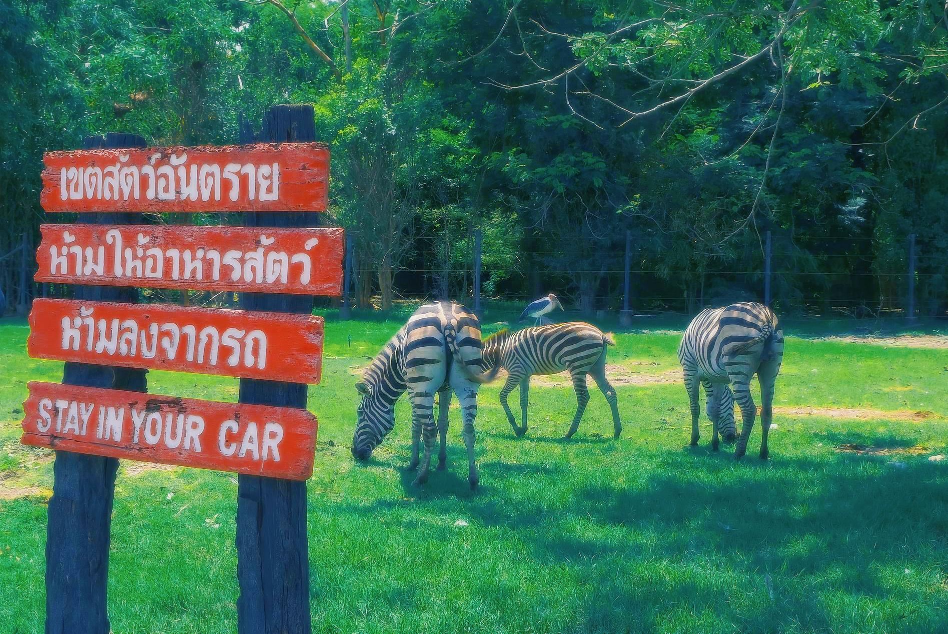 Bangkok Safari World One-Day Tour with Transfer Service