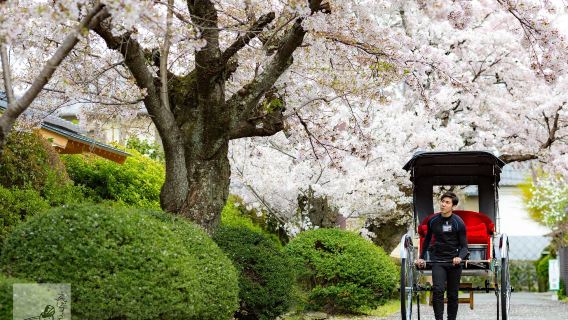 Kyoto Arashiyama Rickshaw Private Chartered Tour by Ebisuya