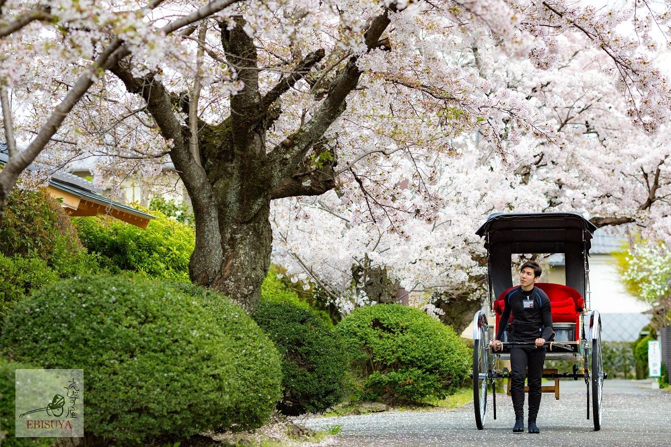 [Rickshaw EBISUYA] Tour privado en rickshaw por Arashiyama, Kioto