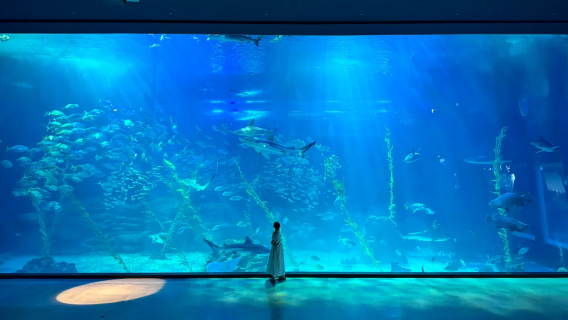 韓國濟州市史努比樂園+Aqua Planet水族館一日遊