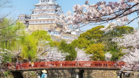 姬路市日遊