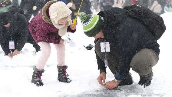 From Seoul: Hwacheon Sancheoneo Ice Festival (+ Eobi Ice Valley)
