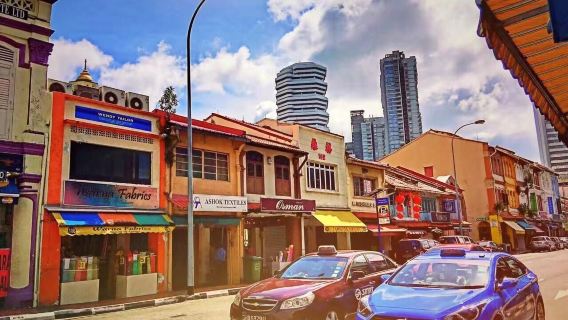 新加坡-魚尾獅公園+新加坡濱海灣花園+牛車水【中文司機】一日遊