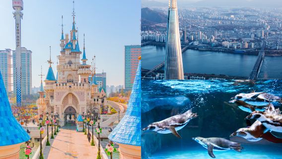 Lotte World Adventure+Seoul Sky1-day Tour