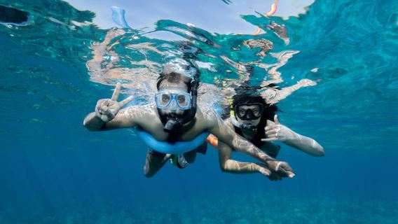 From Ma'alaea: AM Turtle Town Snorkel Aboard Quicksilver