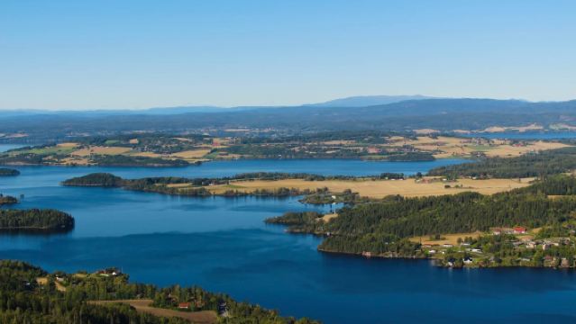 Oslo City Center - Frogner Park - Munch Museum & Surroundings - Private Charter - Top Pick