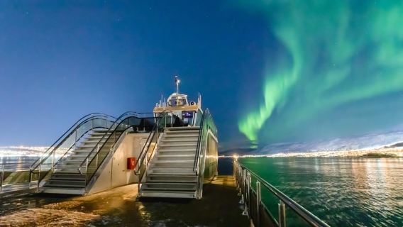 Bodø: crociera per ammirare l'aurora boreale