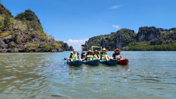 Langkawi : Kilim Mangrove Boat & Fun Kayak Tour with Lunch