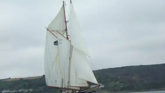 Cornwall: 2 hour Wildlife Watching RIB Tour Adventure