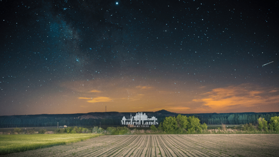 Madrid: Luxury Winner and Ribera del Duero Tour