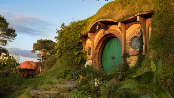 Однодневный тур по местам съемок фильма "Хоббит" в Новой Зеландии | Погружение в мир Средиземья