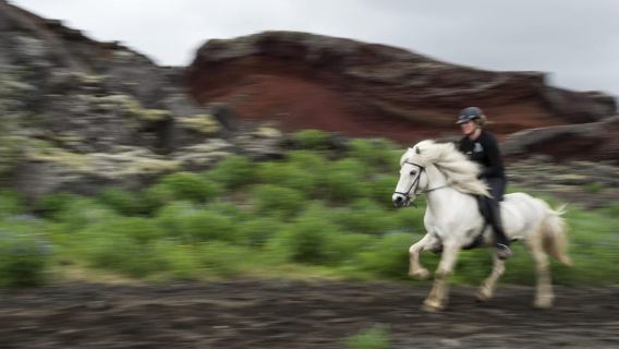 Islanda: tour a cavallo tra i paesaggi vulcanici