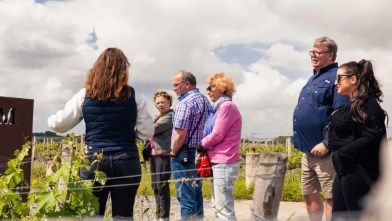 Ab Bordeaux: Médoc-Weingut-Morgentour mit Weinprobe