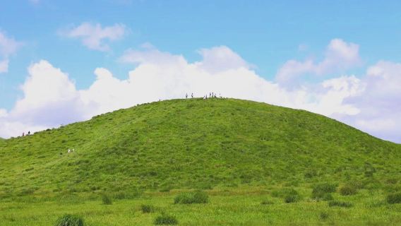 日本九州-福岡往返-熊本城-熊本熊廣場-水前寺成趣園-精品遊