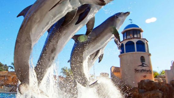 Los Angeles, USA Round-trip San Diego Old Town + Sea World one-day tour