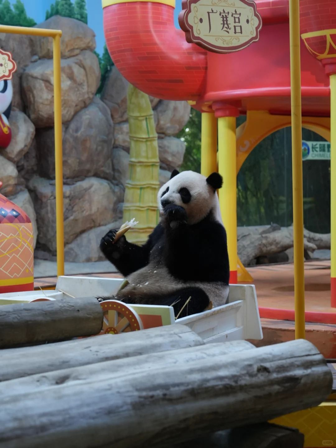 Guangzhou Chimelong Safari Park Tagesausflug/ganztägige VIP-Tour mit Schnelleinlass und Abholservice