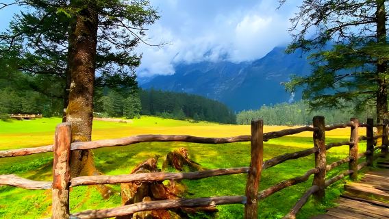 Lijiang Mt.Yulong + Spruce Meadow + Blue Moon Valley Chinese Group (Car+Ticket)