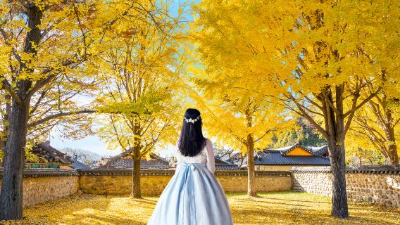 Hanbok Experiences|1-day tour to Jeonju Hanok Village in Korea|Depart From Seoul