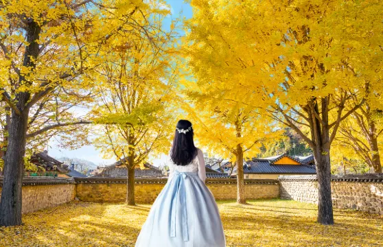 韓服體驗|韓國全州韓屋村一日遊|首爾出發