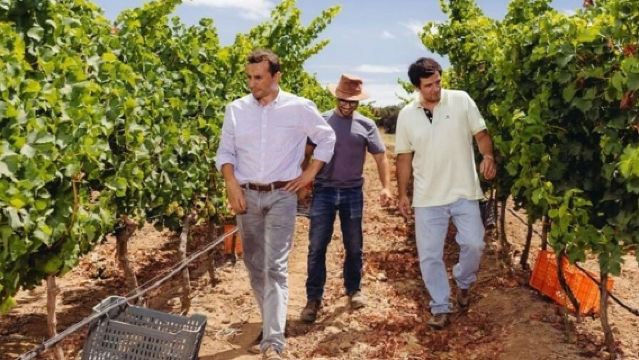 Alvor Classic Wine Experience - 3 wines