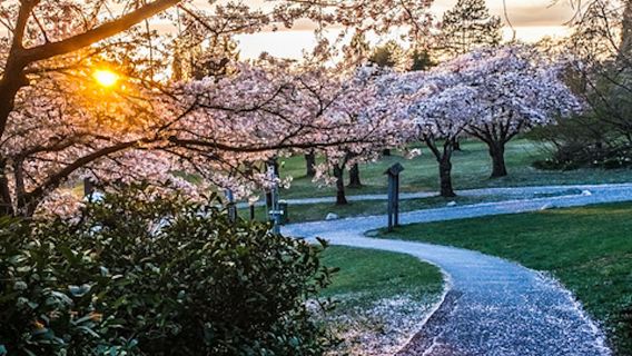 溫哥華城市全景專屬伊麗莎白女王公園+加拿大廣場+史丹利公園
