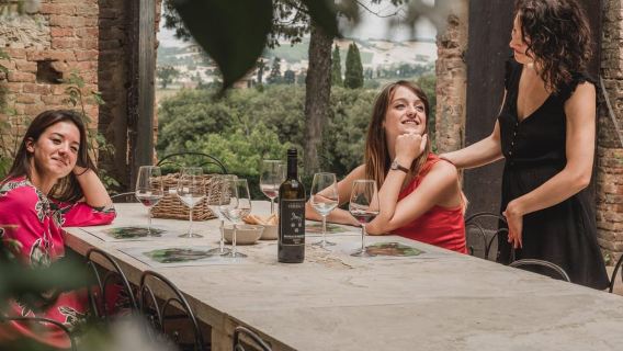 Montalcino: Burg- und Weinbergtour mit Verkostung