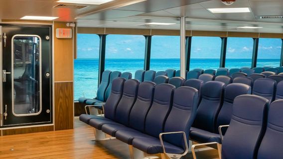 Cozumel: Ferry de ida y vuelta desde/hacia Playa del Carmen