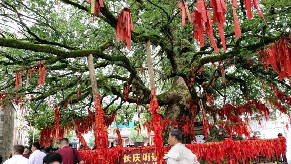 Yingtan Fantawild Oriental Heritage + Shengjingshan Sceneic Area + Shangqing Ancient Town private charter day tour with English service available