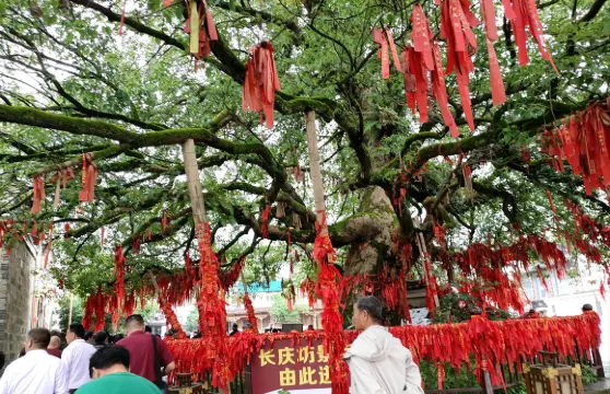 江西鷹潭方特東方神畫+聖井山風景區+上清古鎮包車一日遊 可提供中英文服務