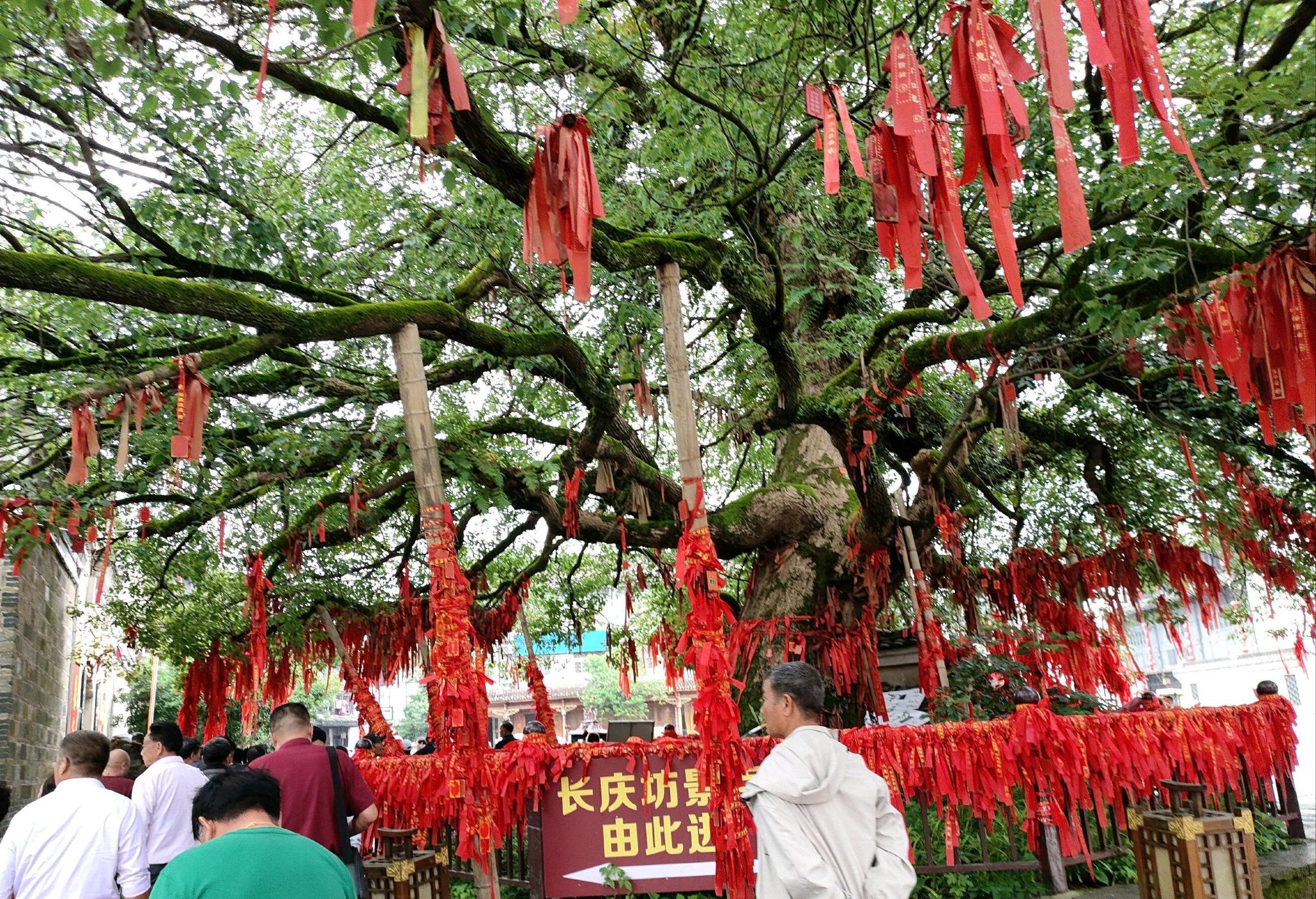 ทัวร์ 1 วันเหมารถอิงถาน Jiangxi Fangte Oriental Heritage + วัดแสนโต + เมืองเก่าฉางคิง พร้อมบริการภาษาอังกฤษ