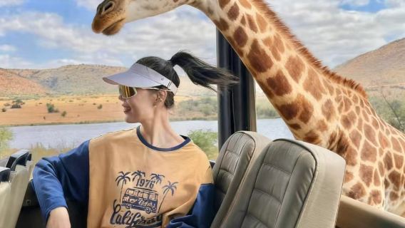 Johannesburg + Sun City Resort + Pilanesberg National Park Chinese private charter 1-day tour in South Africa