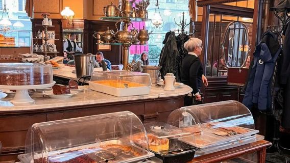 維也納一日遊·中文司機兼導遊，溝通無障礙