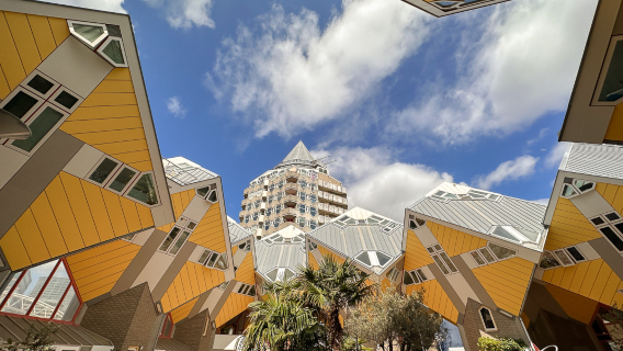 Excursion d'une journée à l'usine de faïence bleue de Delft, au Pont Érasme et à la Maison cubique