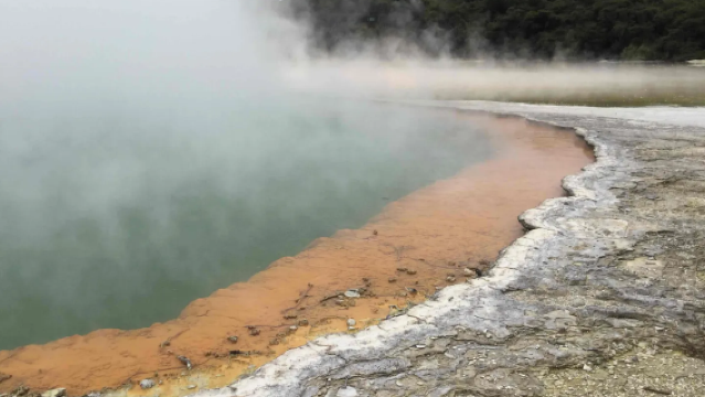 中文包車-懷歐塔普地熱仙境+愛歌頓農場一日遊/上門接駁