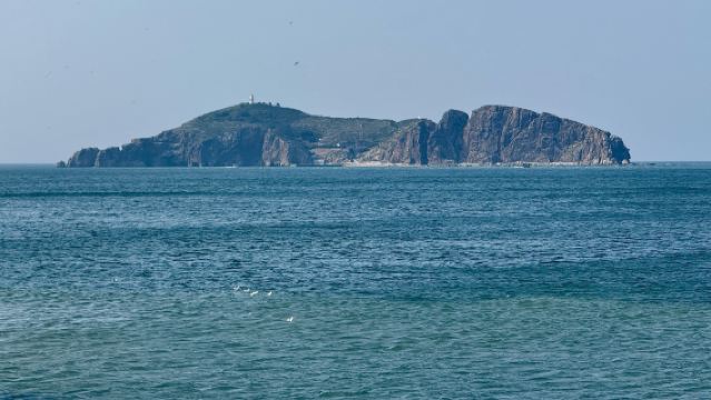 위하이 성산두+ 화거팔가+나향해+브루베이스호 일일투어 한국