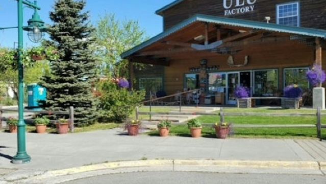 Anchorage City: Guided Tour with Local Samplings