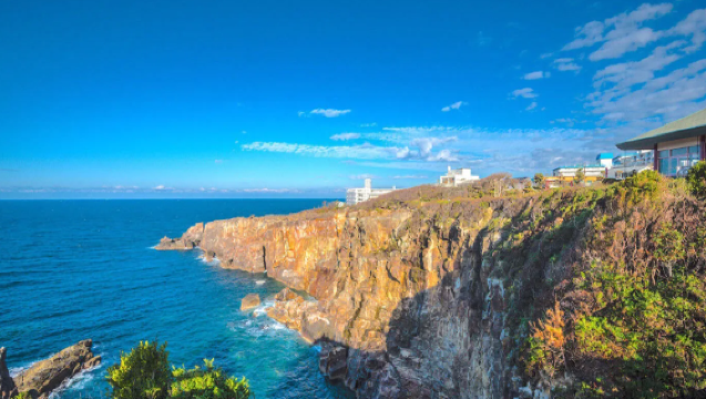 日本 /大阪/京都/奈良/神戶/和歌山/白濱/翻譯/留學生地陪導遊/地接/定制/接機/日本深度遊/一單一團