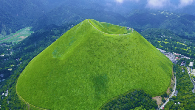 รถไฟชมวิวทะเล·ทัวร์กลุ่ม 9 คน|ทัวร์ 1 วันโตเกียวอิซุ ภูเขาโอโมโระ/สวนสัตว์ + ชายฝั่งชิราซากิ